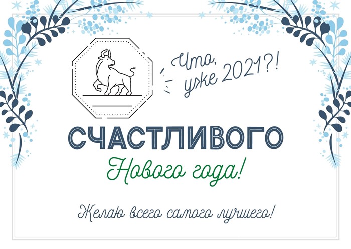 Новый 2021 год Быка