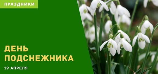 День подснежника 19 апреля