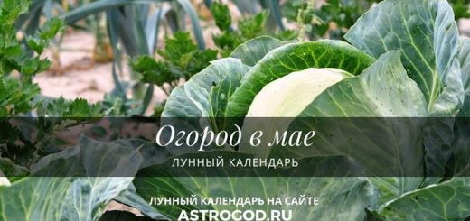 Огород в мае лунный календарь