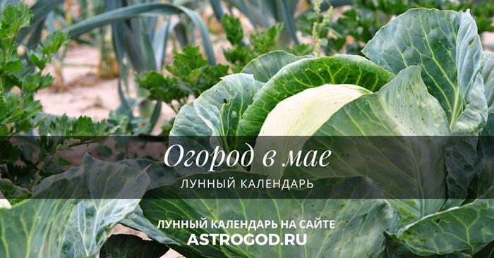 Огород в мае лунный календарь