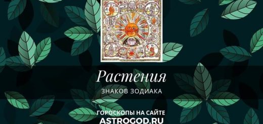 Растения знаков Зодиака