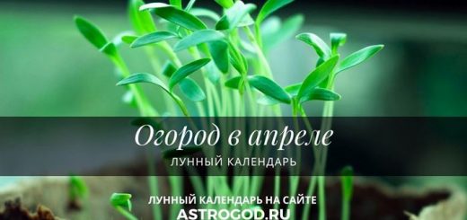 Огород в апреле лунный календарь